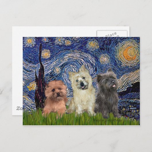 Caïro Terriers (drie) - Sterrennacht Briefkaart (Voorkant / Achterkant)