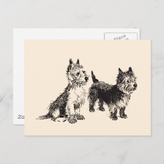 Caïro Terriers  Pen & Ink Briefkaart (Voorkant / Achterkant)