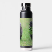 Caïro Waterfles (Rechts)