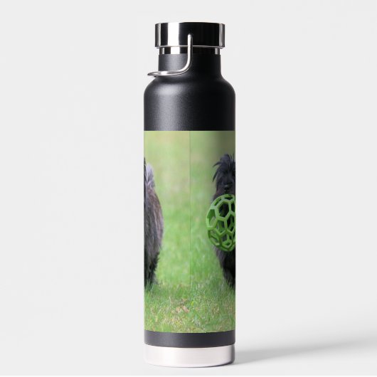 Caïro Waterfles (Rechts)