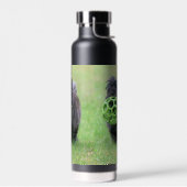 Caïro Waterfles (Links)