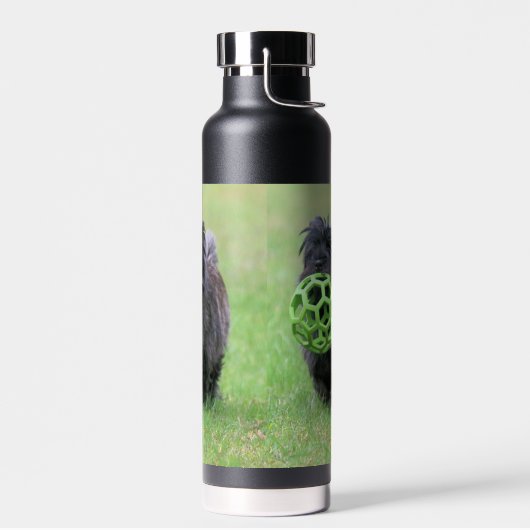 Caïro Waterfles (Links)