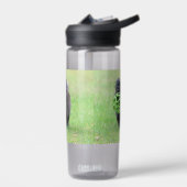 Caïro Waterfles (Links)