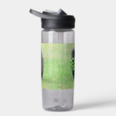 Caïro Waterfles (Rechts)