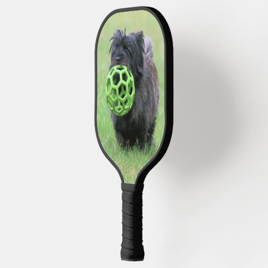 Caïro's twee pickleball paddle (Links)