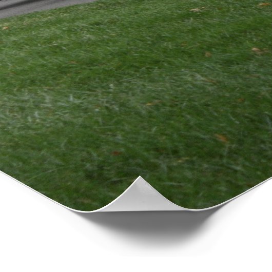 caisson Arlington begraafplaats Poster (Hoek)