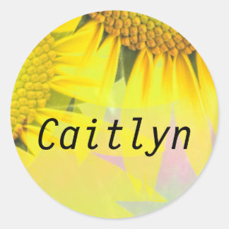 Caitlyn Rainbow Sunflower Naam Stickers
