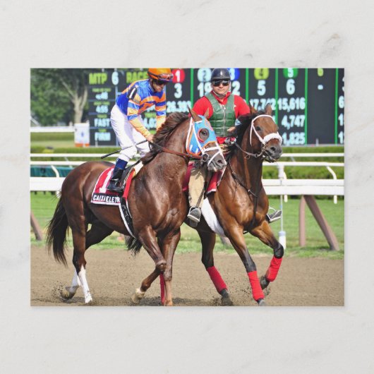 Caixa Eletronica - Saratoga Race Course Briefkaart (Voorkant)