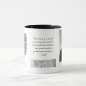 Cajal-Mok met Purkinje-cel Mok (Midden)