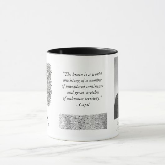 Cajal-Mok met Purkinje-cel Mok (Midden)