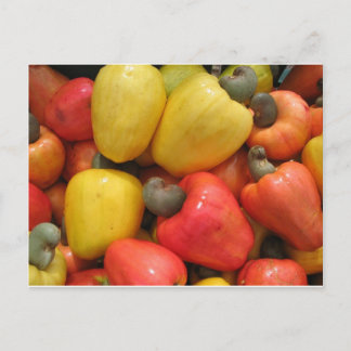 Caju, natureza mãe briefkaart