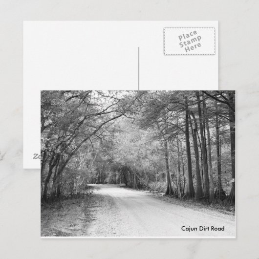 Cajun Dirt Road briefkaart (Voorkant / Achterkant)