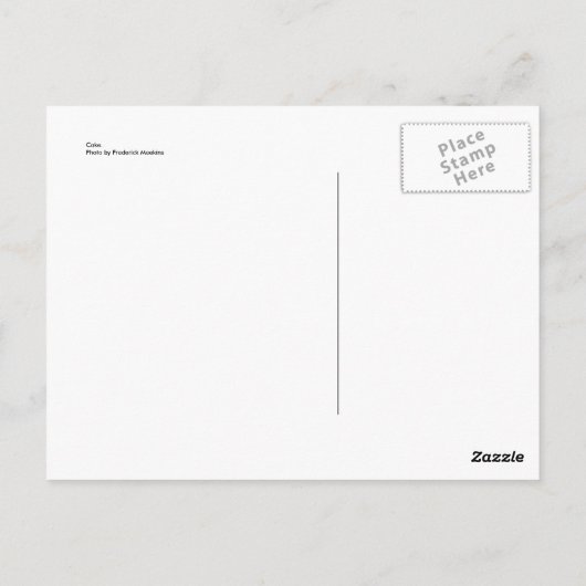 Cake Briefkaart (Achterkant)