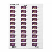 Cake Katten Retouradres Labels (Full Sheet)