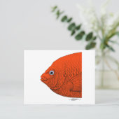 Cal-Neva AFS - Ondersteun studentensubeenheden! Briefkaart (Staand voorkant)