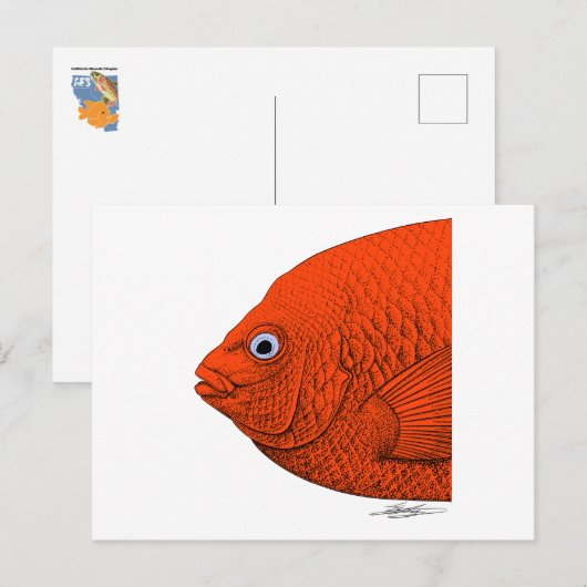 Cal-Neva AFS - Ondersteun studentensubeenheden! Briefkaart (Voorkant / Achterkant)