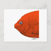 Cal-Neva AFS - Ondersteun studentensubeenheden! Briefkaart (Voorkant)