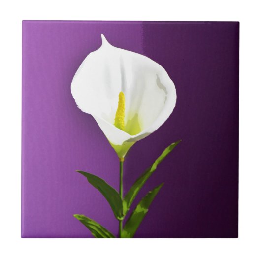 Cala Lelie Bloem Tegeltje (Voorkant)