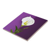 Cala Lelie Bloem Tegeltje (Zijkant)