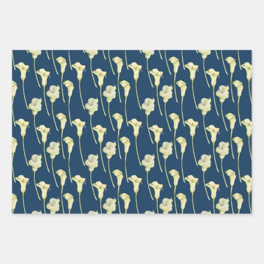 Cala Lilies en Eucalyptus Inpakpapier Vel (Voorkant 3)