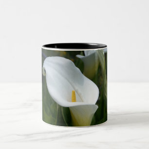 Cala Lilly Mok