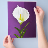 Cala Lily Bloem Flyer (Hand)