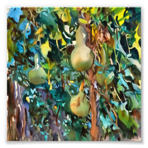 Calabash Tree-bronnen in de herfst van acrylvezels Foto Afdruk