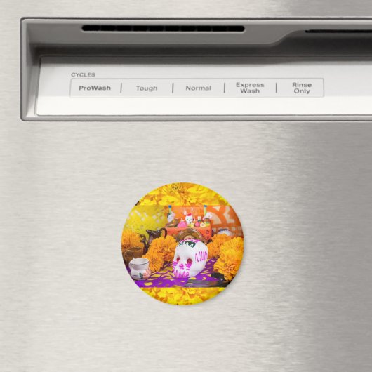 Calaberita Magneet (Insitu (Vaatwasser))