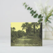 Caladesi Island Dunedin Fl Briefkaart (Staand voorkant)