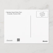Caladesi Island Dunedin Fl Briefkaart (Achterkant)