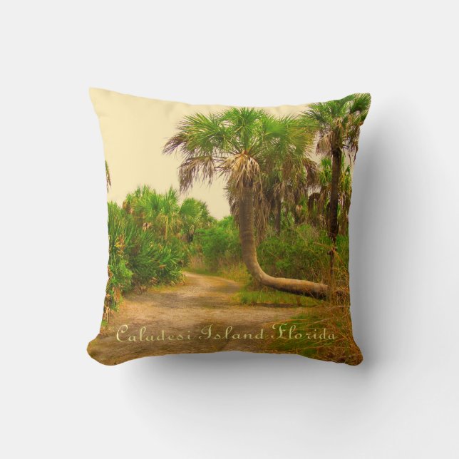 Caladesi Island Dunedin Fl Pillow Kussen (Voorkant)