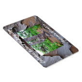 Caladesi Island Fl Harp Tree Premium Flexi Magnet Magneet (Rechterzijde)