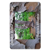 Caladesi Island Fl Harp Tree Premium Flexi Magnet Magneet (Verticaal)