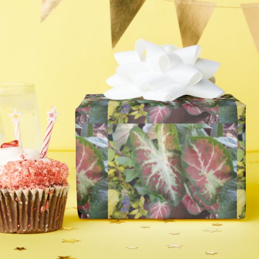 Caladium Garden Gardeners Delight Design Cadeaupapier (Verjaardagsfeest)
