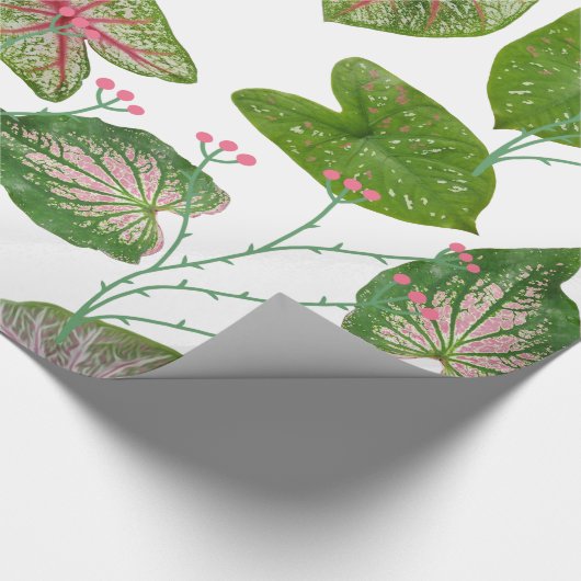 Caladium Pattern for plant lovers Cadeaupapier (Hoek)