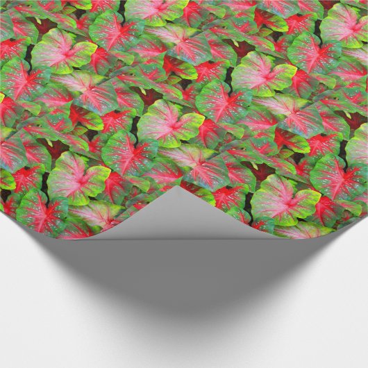 Caladium wrapping Paper in rood en groen Cadeaupapier (Hoek)