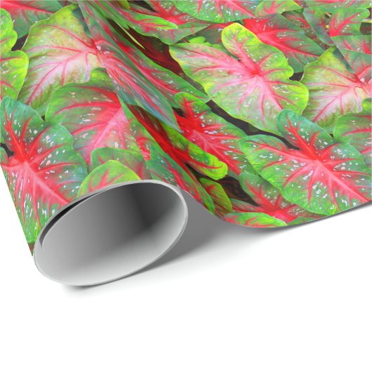 Caladium wrapping Paper in rood en groen Cadeaupapier (Rol Hoek)