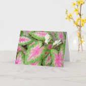 Caladiums Kaart (Gele Bloem)