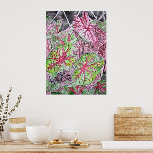 caladiums_plant_schilderen poster (Keuken)