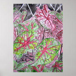 caladiums_plant_schilderen poster