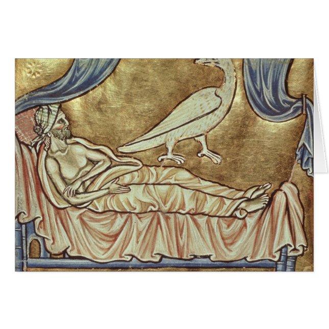 Caladriusvogel, naar verluidt foretell (Voorkant Horizontaal)