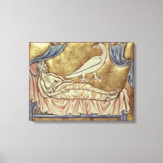 Caladriusvogel, naar verluidt foretell canvas afdruk (Voorkant)