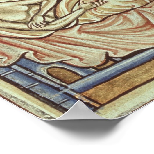 Caladriusvogel, naar verluidt foretell poster (Hoek)