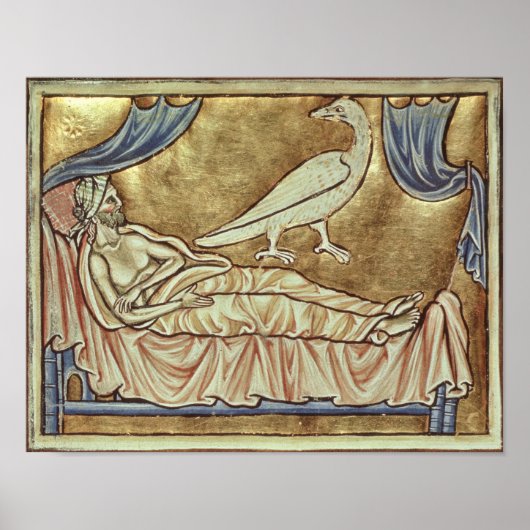 Caladriusvogel, naar verluidt foretell poster (Voorkant)