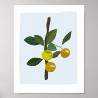 Calamonsi Golden Limoen Citrus Illustratie