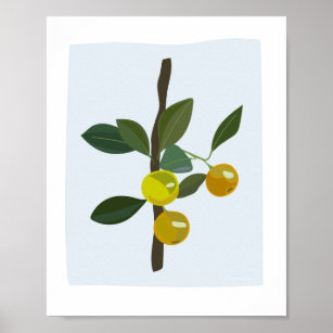 Calamonsi Golden Limoen Citrus Illustratie Poster