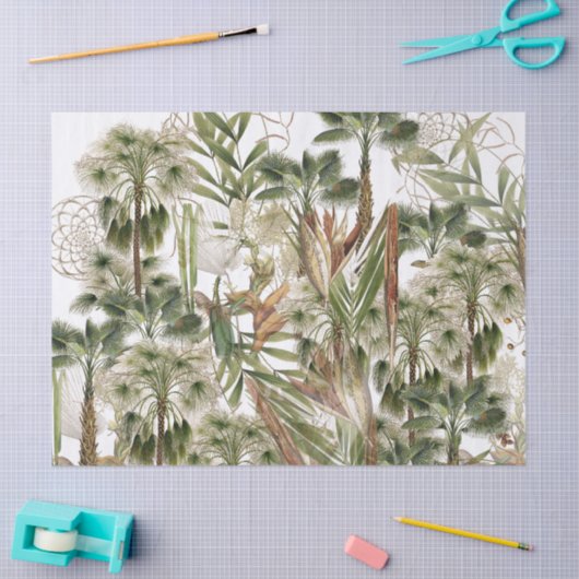 Calamus palmvloeren laten fruitweefselpapier achte tissuepapier (Craft)