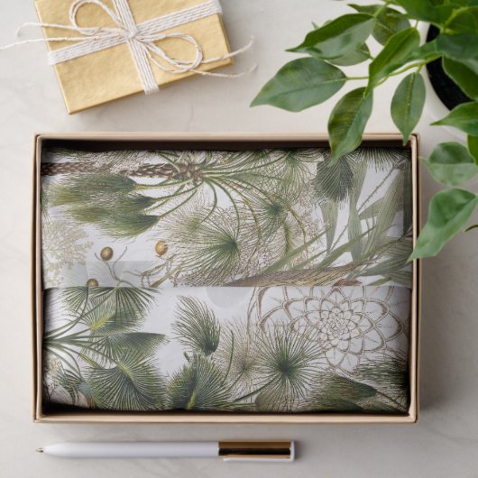 Calamus palmvloeren laten fruitweefselpapier achte tissuepapier (Geschenk)