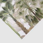 Calamus palmvloeren laten fruitweefselpapier achte tissuepapier (Detail)