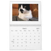 Calander Kalender (Mar 2027)